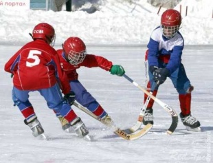 Спортивная школа: хоккей