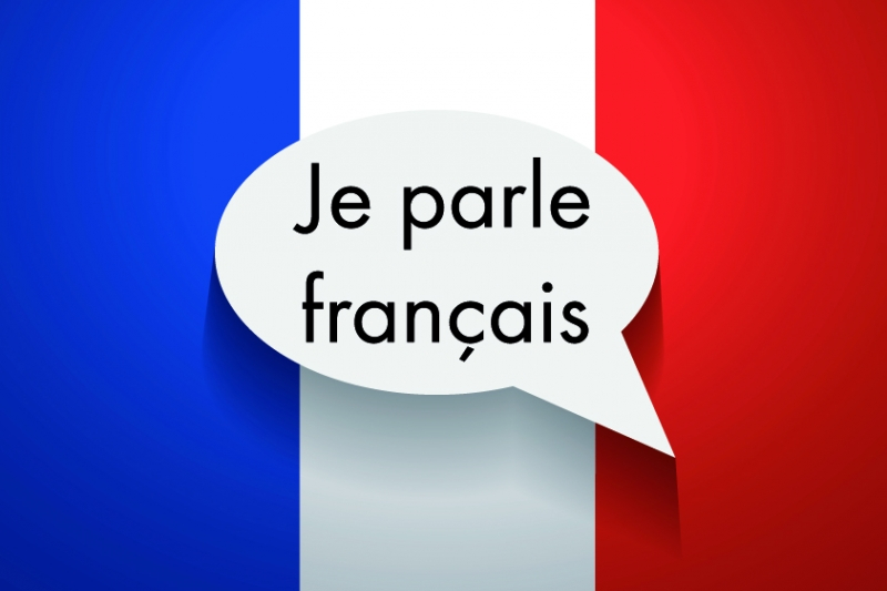 В России открыли билингвальные отделения французского языка