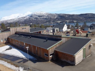 Детские сады Норвегии и воспитатели, которые в них работают