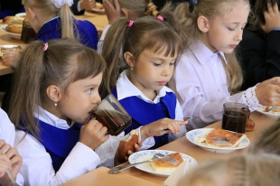 Определена средняя стоимость питания учащихся в российских школах