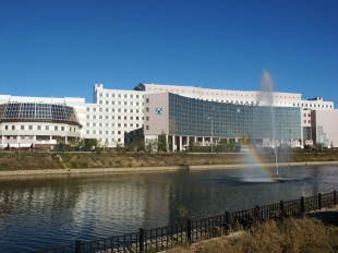 Северо-Восточный федеральный университет  им. М.К. Аммосова